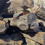 富岡市で販売している薪用丸太・原木の全体写真