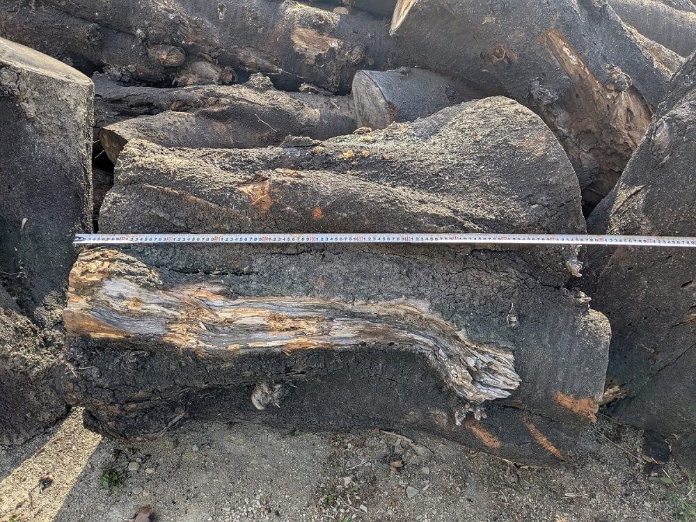 富岡市で保管している薪用丸太・原木の写真