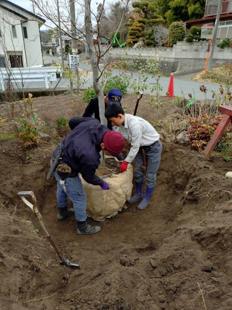 富岡市の造園会社想苑で行った庭木の根巻き講習